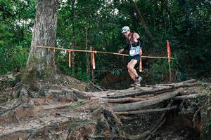 BIB: 
                            <button type="button" onclick="openModal(27804113)" class="btn btn-primary btn-sm float-right btn-popup" data-toggle="modal" data-target=".modal-high-quality">
                        <i class="fas fa-shopping-cart"></i> Add to Cart
                    </button>
                                            <button type="button" onclick="isThisMe(27804113, true)" class="btn btn-success btn-sm float-right btn-popup btn-isme hidden" data-toggle="tooltip" data-placement="bottom" title="นี่คือรูปของคุณใช่ไหม คลิกที่นี่เพื่อเอาเข้าอัลบั้ม">
                        <i class="fas fa-plus"></i> Add to album
                    </button>
                    <button type="button" onclick="isThisMe(27804113, false)" class="btn btn-warning btn-sm float-right btn-popup btn-isnotme hidden">
                        <i class="fas fa-ban"></i> Remove from album
                    </button>